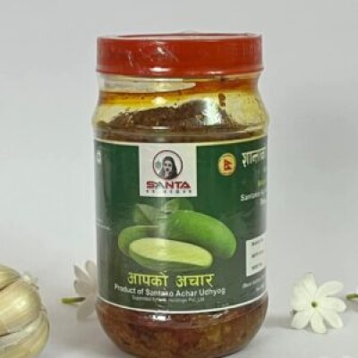 APKO ACHAR 350 GRAM 20 PIECES