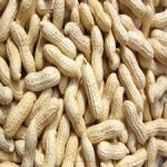 Peanuts Freash 250g