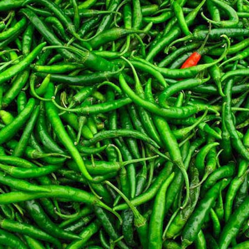 FRESH GREEN CHILLI 🌶 (1KG.)