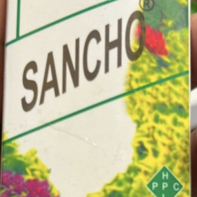 Sancho