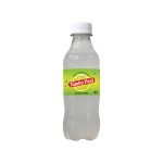 NIMBU(KAAGATI) PANI 250ML