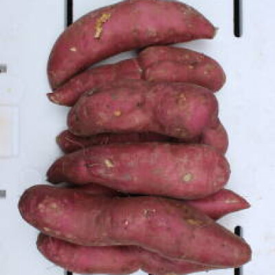 Sweet Potato (Shakar Kandi) - 1kg