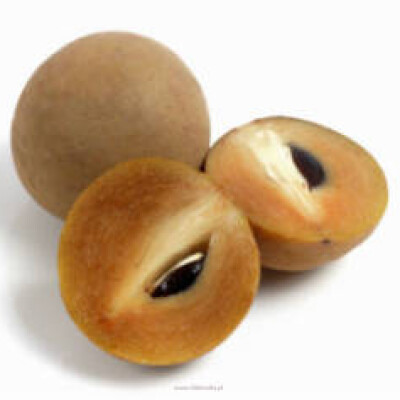 CHIKOO (Sapota) 1 kilo